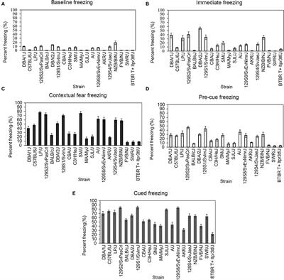 Genetic Differences in Dorsal Hippocampus Acetylcholinesterase Activity Predict Contextual Fear Learning Across Inbred Mouse Strains